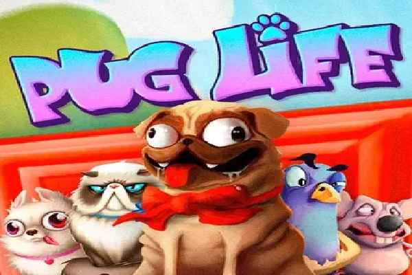 Pug Life