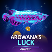 Arowana’s Luck